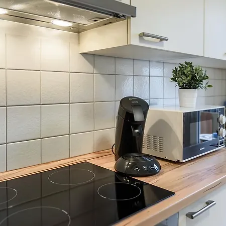 Apartment Deluxe Mit Schlossbergblick Freiburg im Breisgau